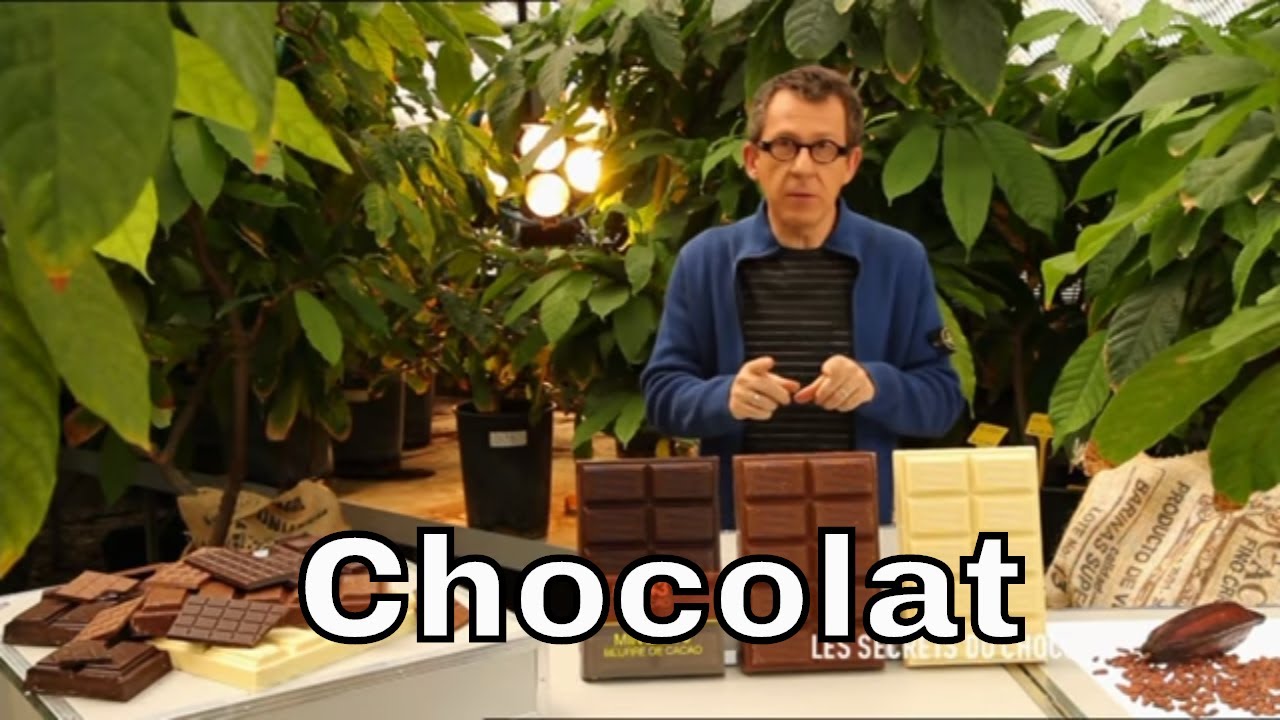Quels sont les différents chocolats ? - C'est Pas Sorcier