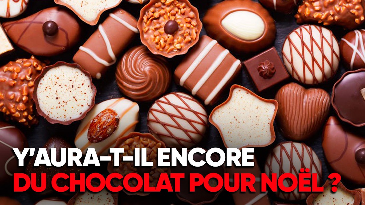 Pénurie de chocolat : faut-il s’inquiéter pour Noël ? - Documentaire Complet - AMP