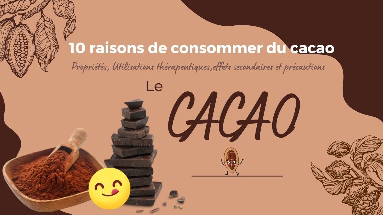 Le cacao, l'allié d'une bonne santé, découvrez 10 effets sur votre corps
