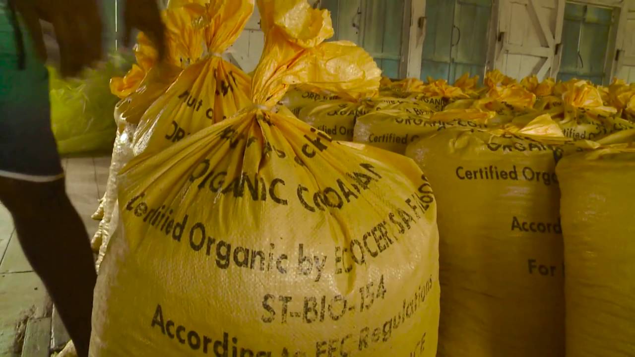 L'île de Sao Tomé : sauvée par le chocolat