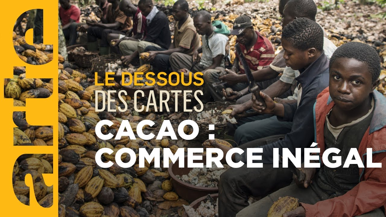 Cacao : à qui profite le chocolat ? - Le dessous des cartes | ARTE