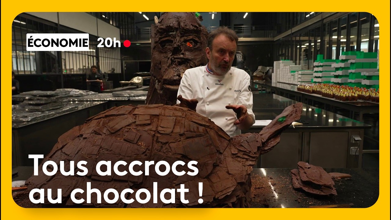 Quels ingrédients retrouve-t-on dans nos chocolats et quels en sont les bienfaits ?