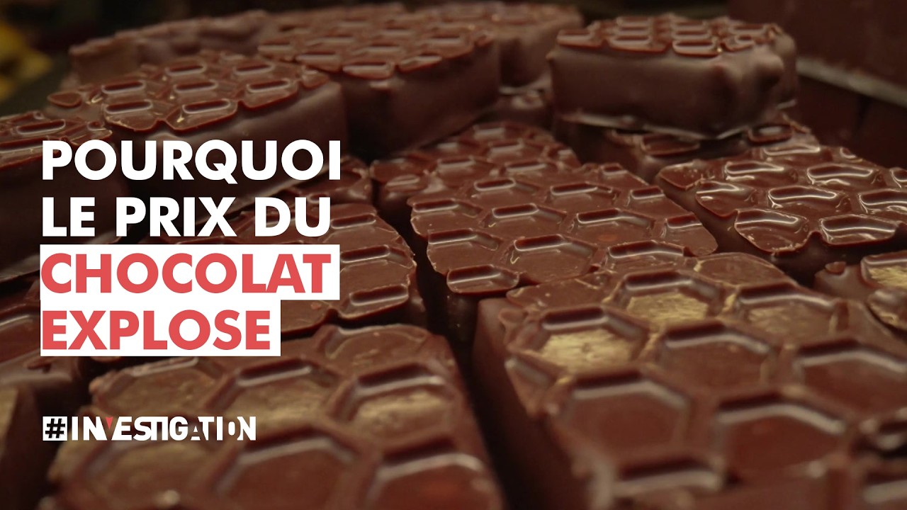 Pénurie de cacao : le prix du chocolat explose | #Investigation