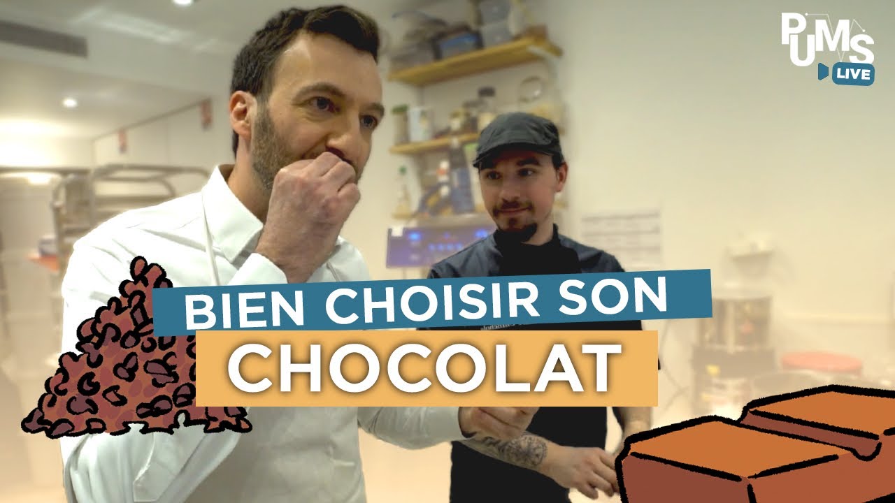 Chocolat et santé : comment choisir un bon chocolat pour le plaisir et la santé ?